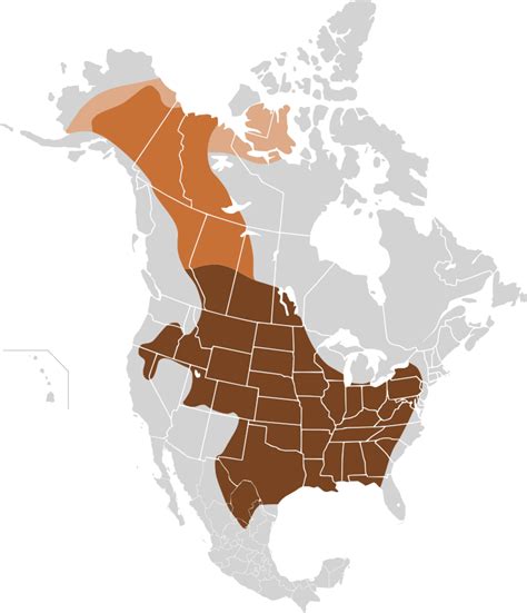 bison buffalo field map.